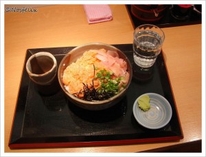 Japanese Restaurants in Tokyo Toto Don food and service  smaller portion of kaisendon